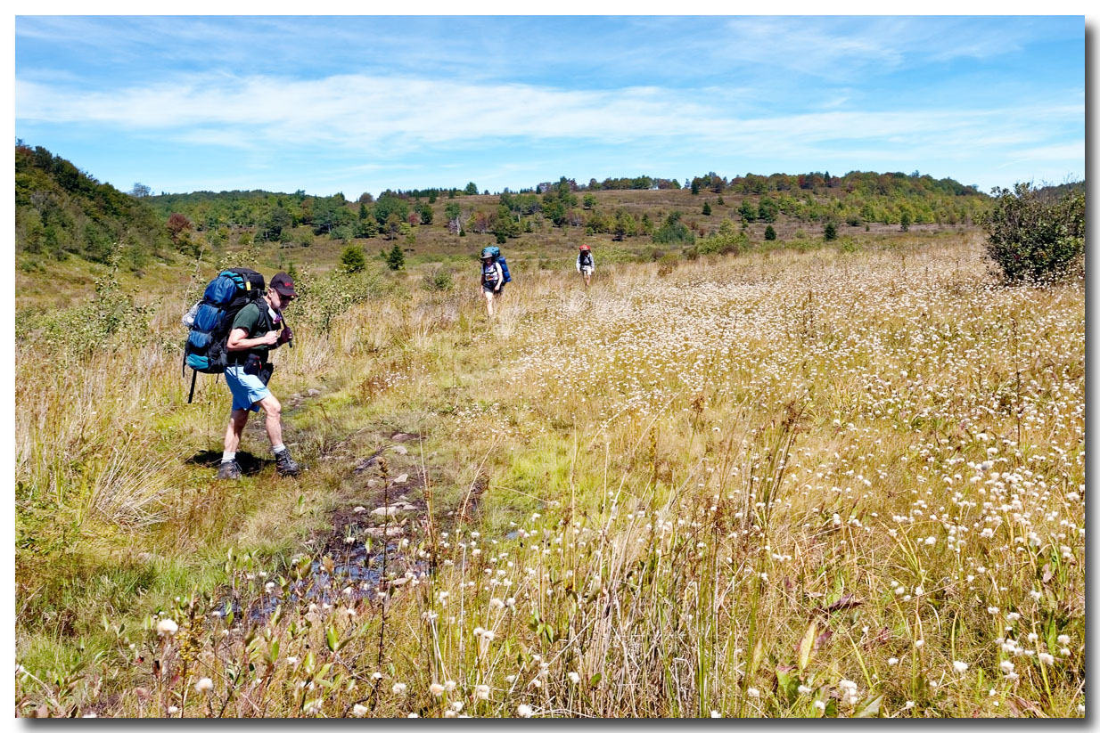 Dolly Sods